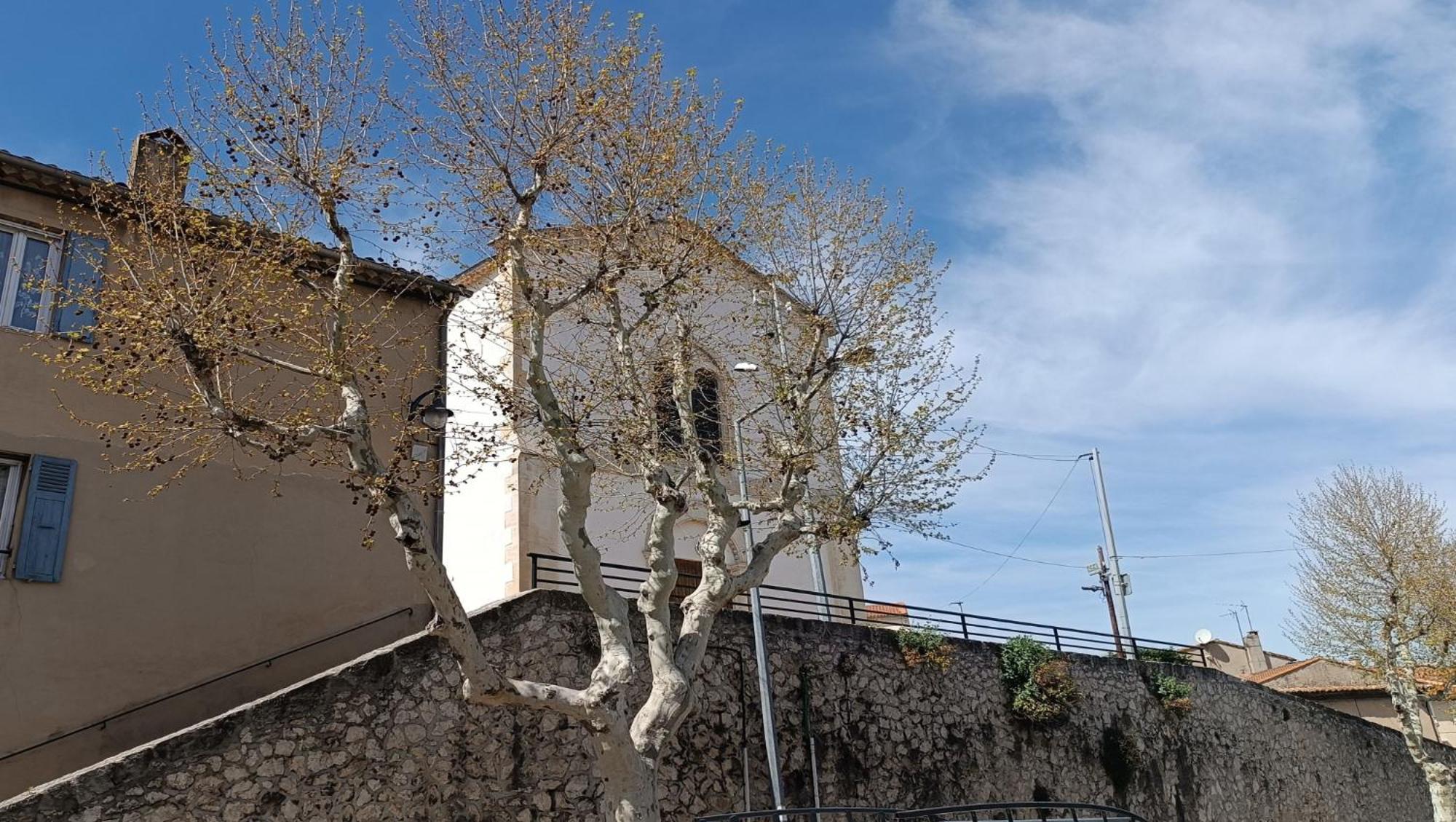 Thym * Cosy * Fibre * Confort La Destrousse Exterior foto